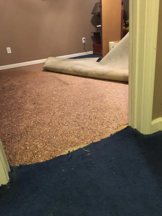 Carpet pad removal revealing water damage during Drying & Dehumidification in Grass Valley